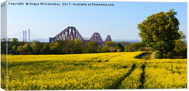Rapeseed field with three bridges panoramic Canvas Print by Angus McComiskey