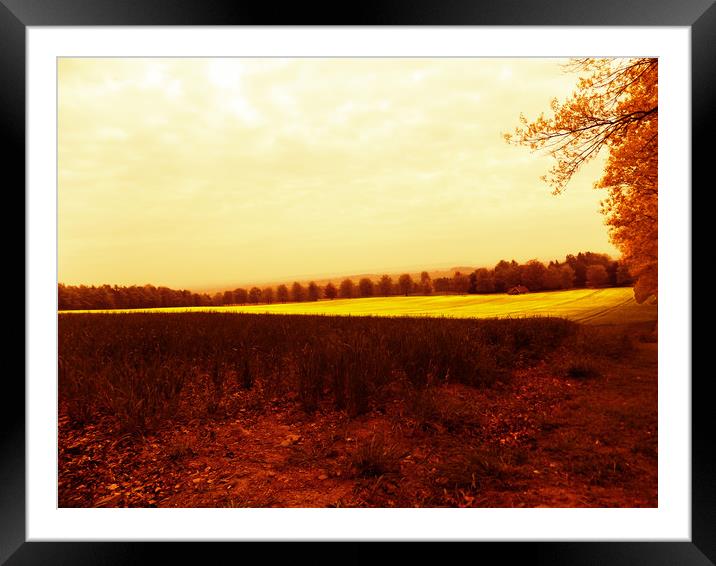 fields of light Framed Mounted Print by paul ratcliffe