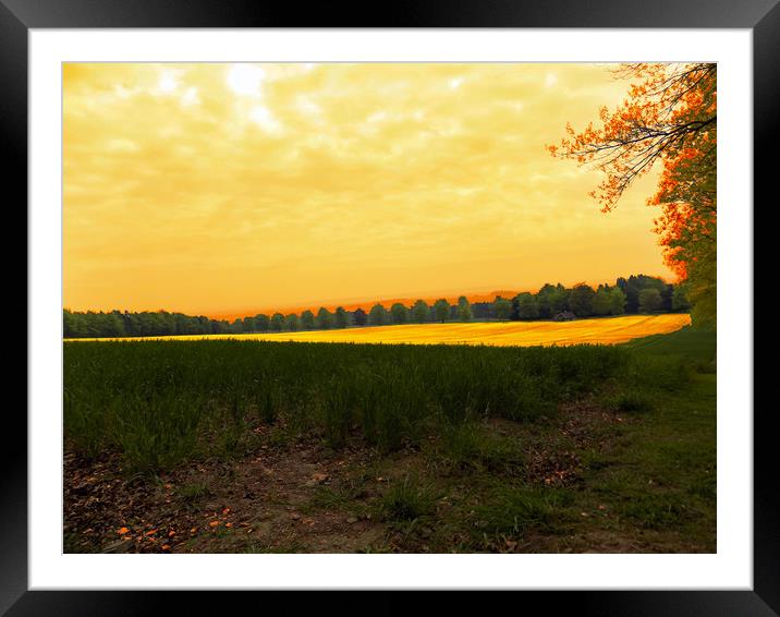 fields of light  2 Framed Mounted Print by paul ratcliffe