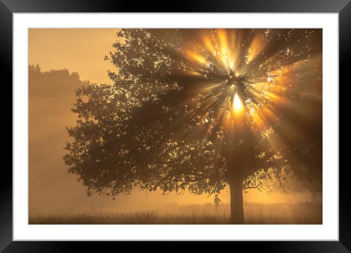 Morning workout Framed Mounted Print by Philip Male