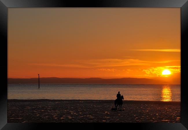riding into the sunset Framed Print by sue davies