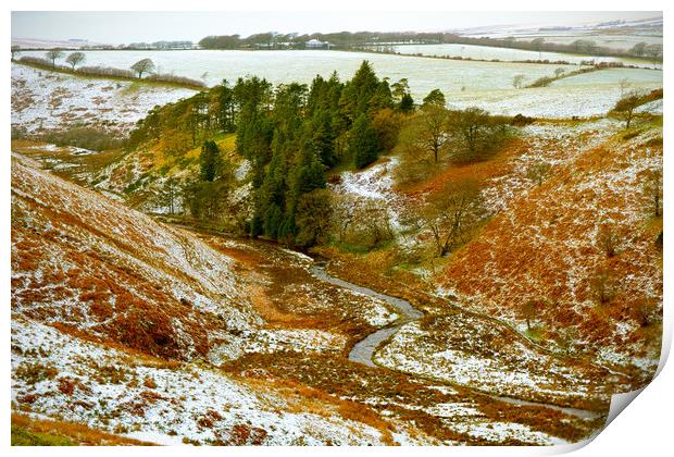 The Barle Valley In Winter Print by graham young