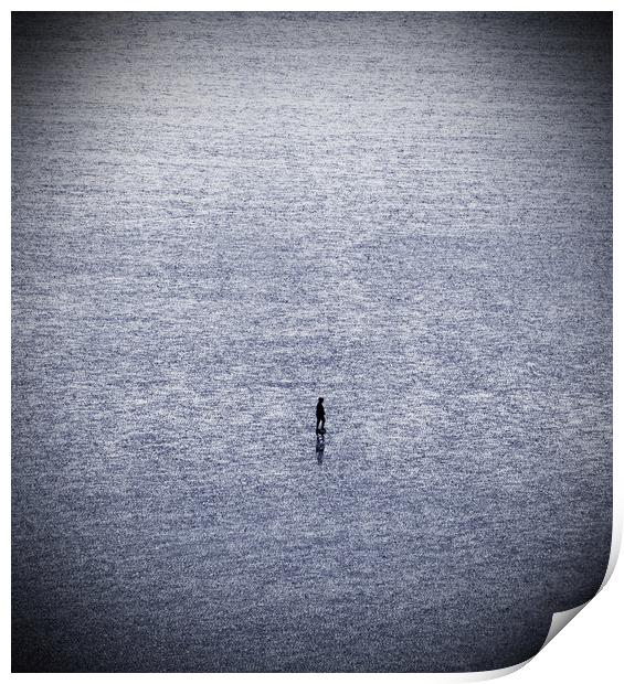 Solitude Print by graham young