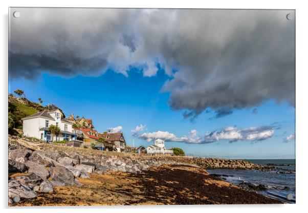 Steephill Cove Acrylic by Wight Landscapes