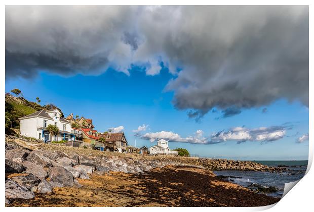 Steephill Cove Print by Wight Landscapes