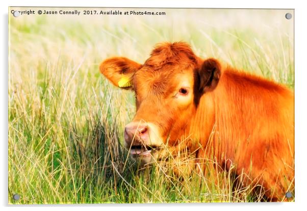 Cumbrian Cow.. Acrylic by Jason Connolly