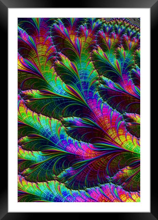 Tropical Framed Mounted Print by Steve Purnell
