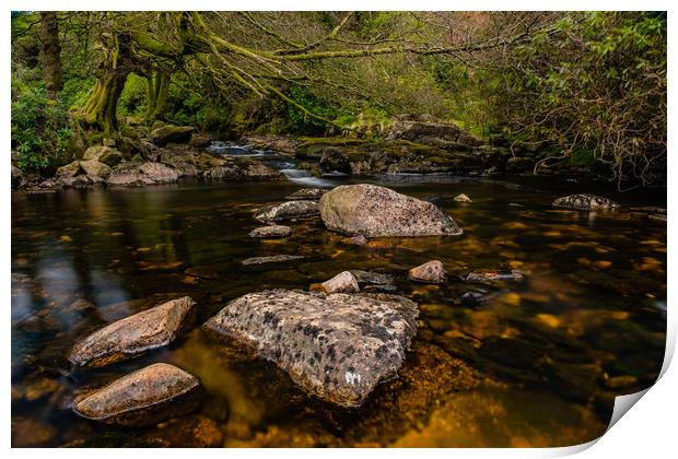 River View 2 Print by David Martin