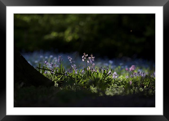 A Quiet Moment Framed Mounted Print by MARTIN CRUSH
