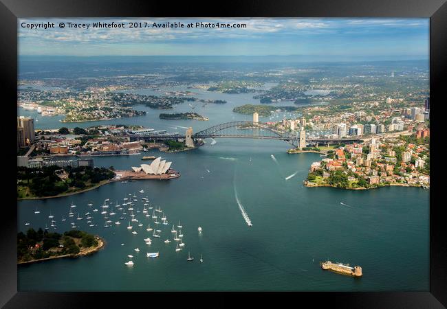 Sydney from the Air  Framed Print by Tracey Whitefoot