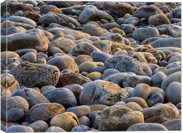 Sunset Glow on Pebbles Canvas Print by Colin Allen
