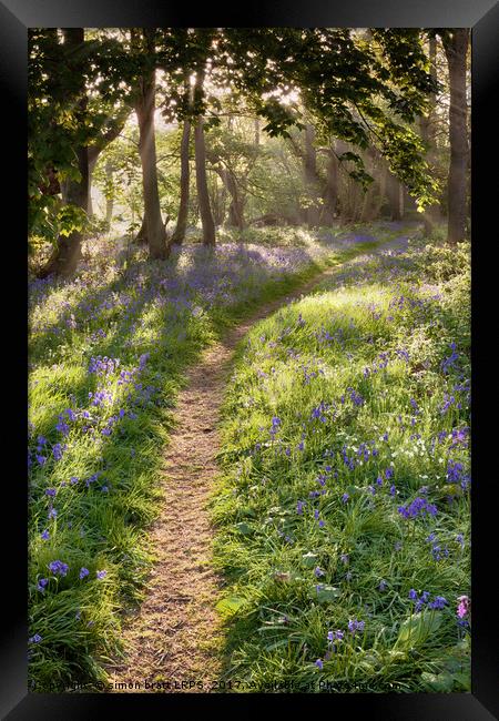 Bluebell woodland path with dreamy sunrise Framed Print by Simon Bratt LRPS