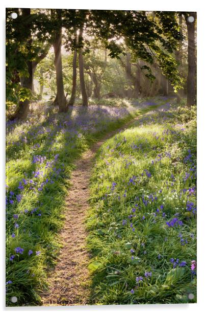 Bluebell woodland path with dreamy sunrise Acrylic by Simon Bratt LRPS