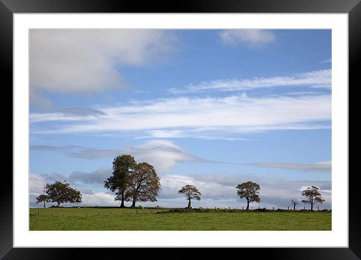 Tree Line Horizon Framed Mounted Print by Steve Glover