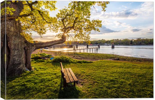 Fishbourne Green Isle Of Wight Canvas Print by Wight Landscapes