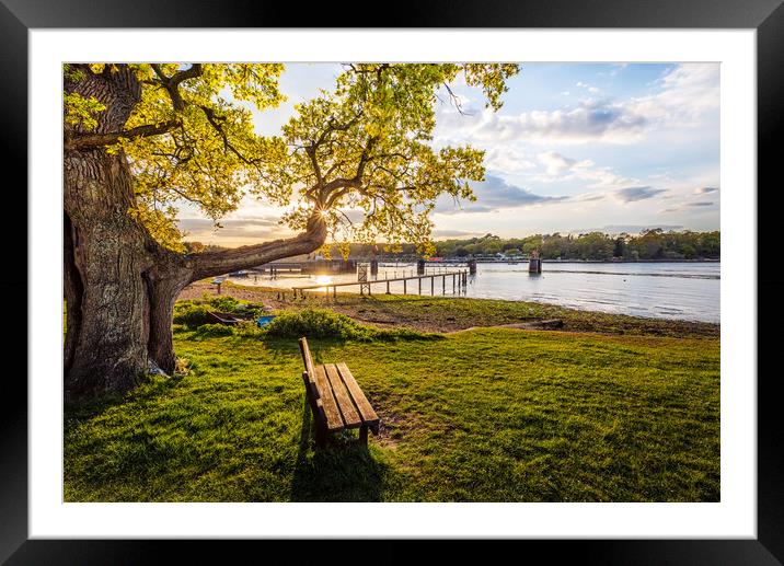 Fishbourne Green Isle Of Wight Framed Mounted Print by Wight Landscapes