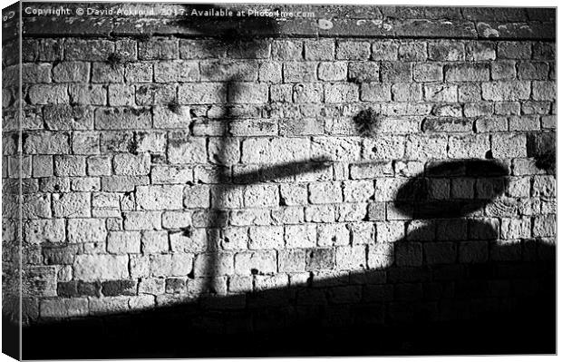 shadow on the wall Canvas Print by David Ackroyd
