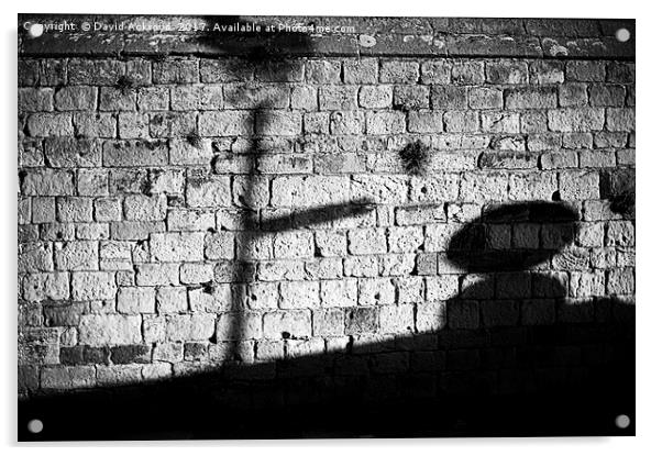 shadow on the wall Acrylic by David Ackroyd