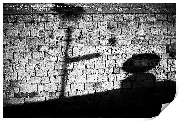 shadow on the wall Print by David Ackroyd