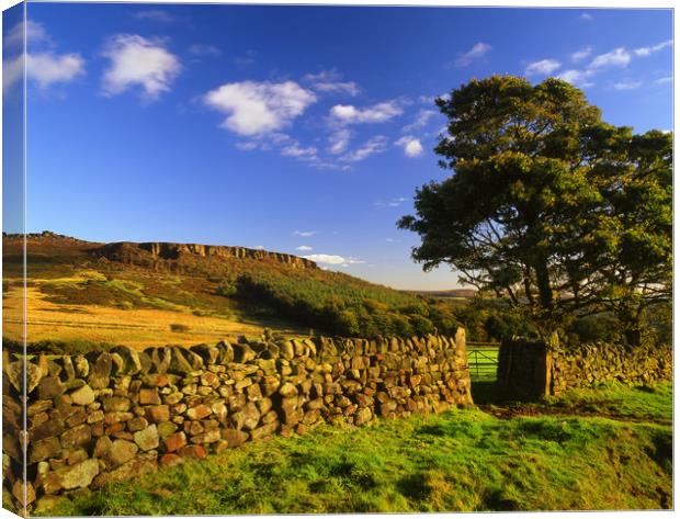 View towards Millstone Edge Canvas Print by Darren Galpin