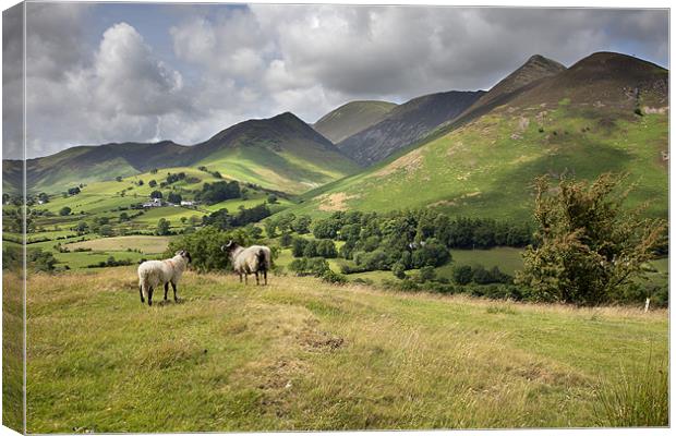 The Newlands Valley Canvas Print by Steve Glover