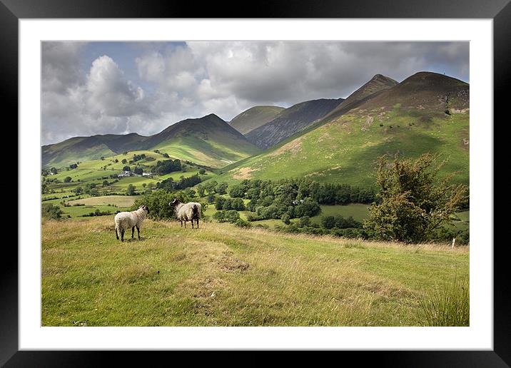 The Newlands Valley Framed Mounted Print by Steve Glover