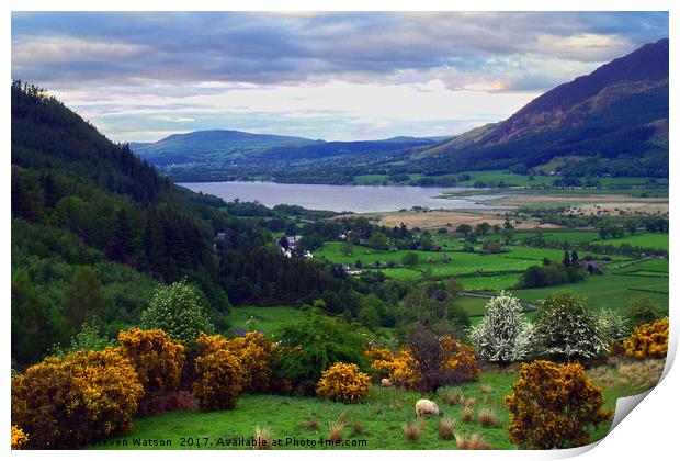 Bassenthwaite Lake Print by Steven Watson