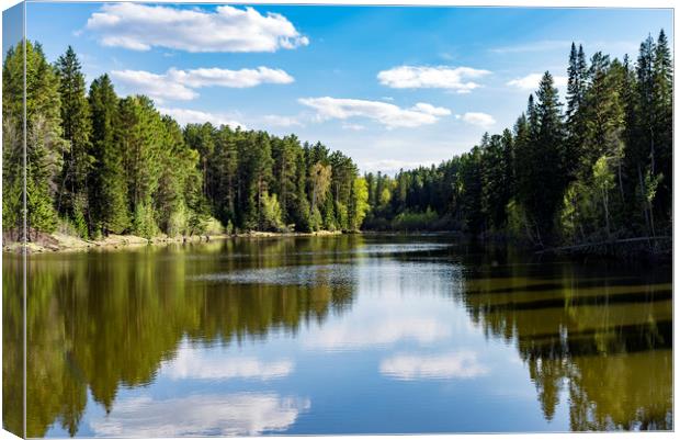 Coniferous forest on the edge of a lake  Canvas Print by Dobrydnev Sergei
