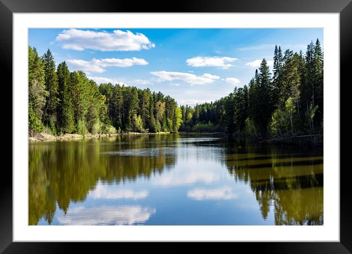 Coniferous forest on the edge of a lake  Framed Mounted Print by Dobrydnev Sergei
