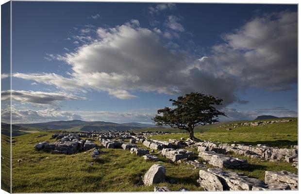 Fresh Air In The Dales Canvas Print by Steve Glover