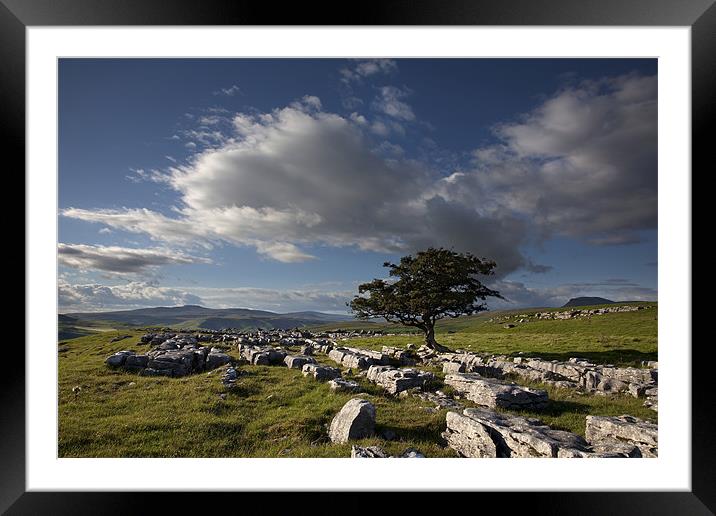 Fresh Air In The Dales Framed Mounted Print by Steve Glover