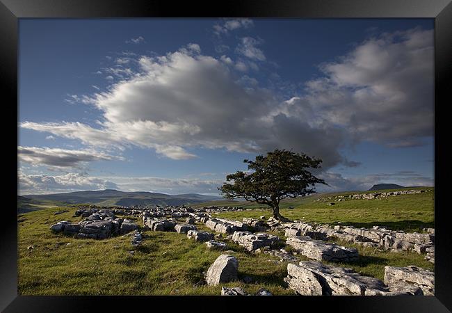 Fresh Air In The Dales Framed Print by Steve Glover