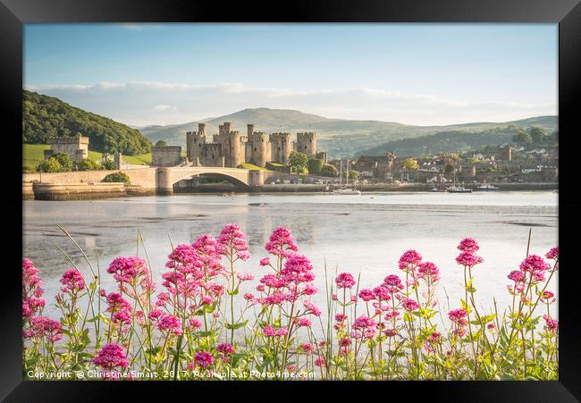 Conwy Castle, A Splash of Colour Framed Print by Christine Smart