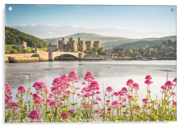 Conwy Castle, A Splash of Colour Acrylic by Christine Smart