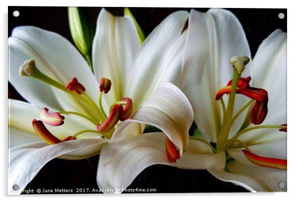 Two Lillies Acrylic by Jane Metters