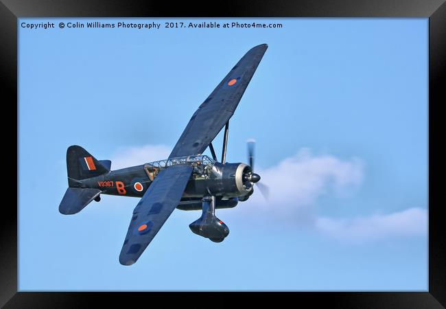 1938 WESTLAND LYSANDER - 1 Framed Print by Colin Williams Photography