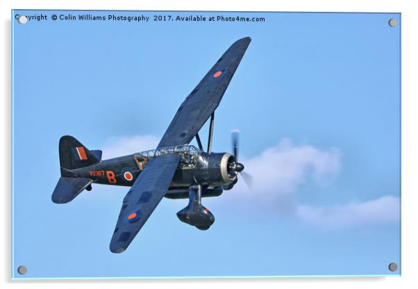 1938 WESTLAND LYSANDER - 1 Acrylic by Colin Williams Photography
