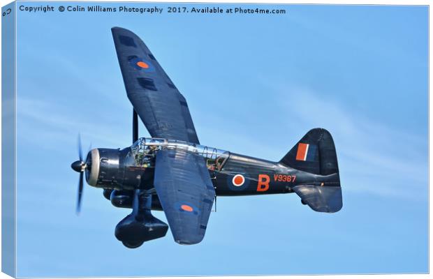 1938 WESTLAND LYSANDER - 2 Canvas Print by Colin Williams Photography