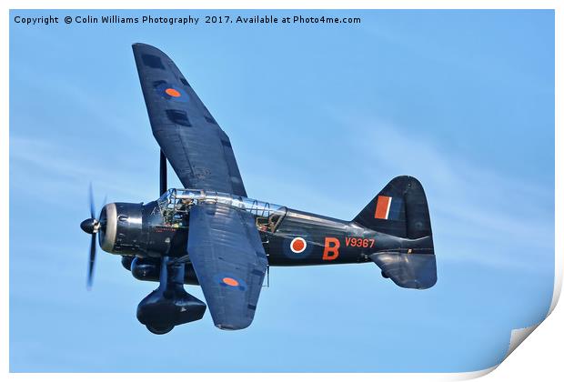 1938 WESTLAND LYSANDER - 2 Print by Colin Williams Photography