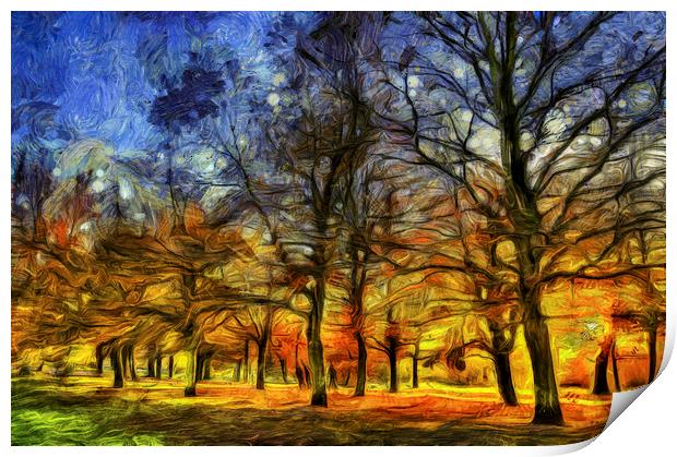 London Park Sunset Art Print by David Pyatt