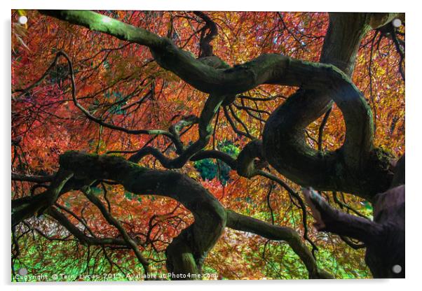 Twisted Tree Acrylic by Terry Lucas