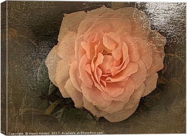 Simply Pink Canvas Print by Henry Horton