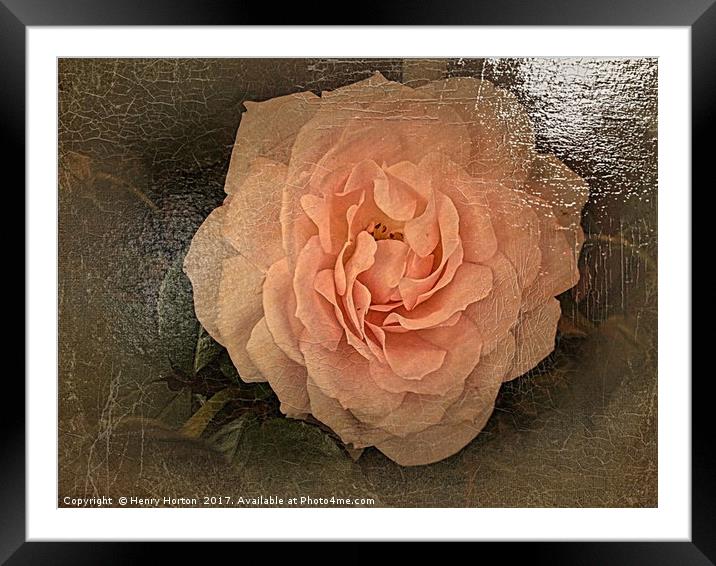 Simply Pink Framed Mounted Print by Henry Horton