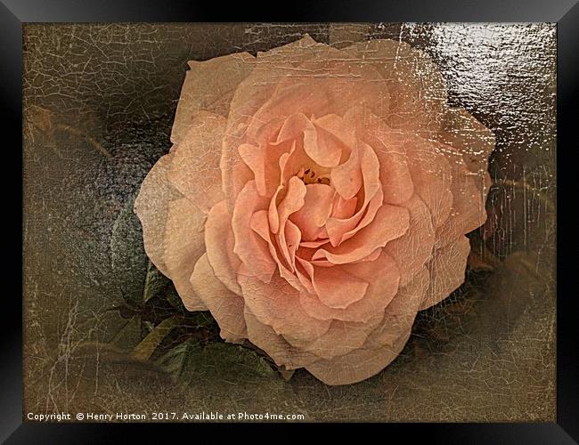 Simply Pink Framed Print by Henry Horton