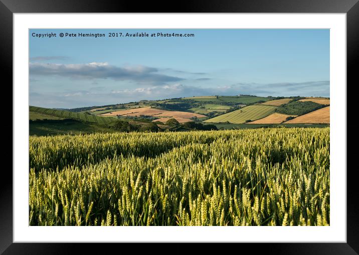 Harvest is coming Framed Mounted Print by Pete Hemington