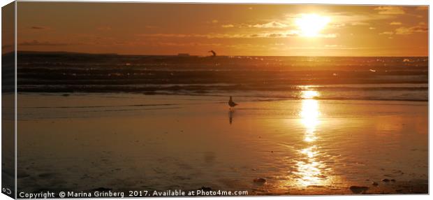 Seagull watching a surfer at sunset Canvas Print by MazzBerg 