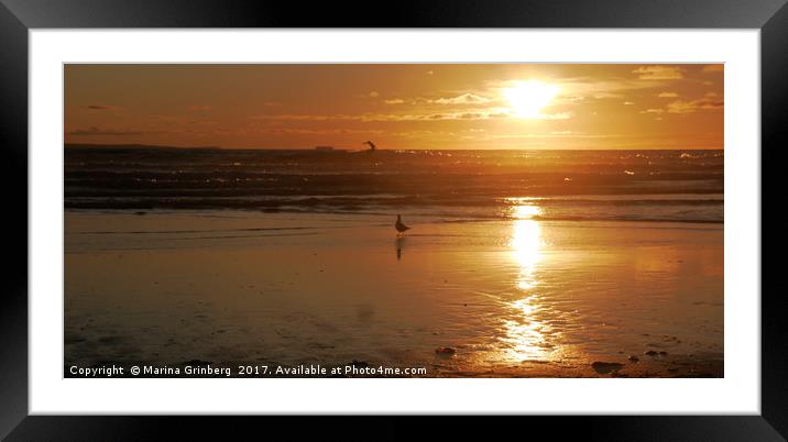 Seagull watching a surfer at sunset Framed Mounted Print by MazzBerg 