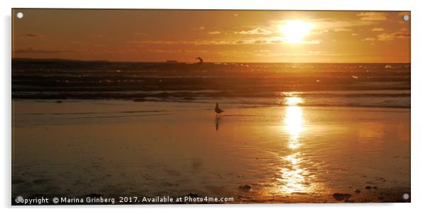 Seagull watching a surfer at sunset Acrylic by MazzBerg 