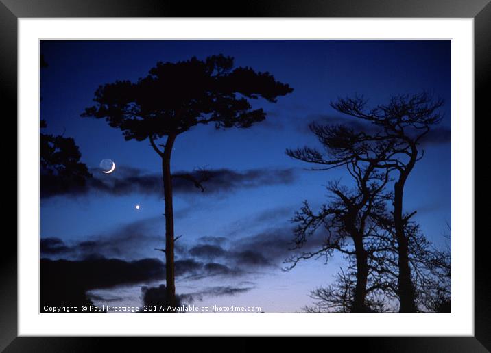 Moon and Trees in Winter Framed Mounted Print by Paul F Prestidge
