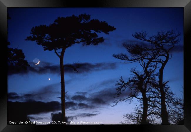Moon and Trees in Winter Framed Print by Paul F Prestidge